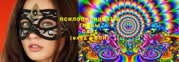 2c-b Сосновка